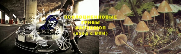 прущая мука Кулебаки