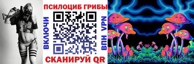 Купить где  Орехово-Зуево  Псилоцибиновые грибы MAGIC MUSHROOMS 